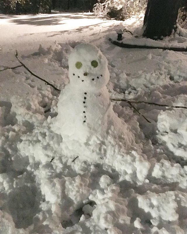 KrisCambria's tweet photo. Do you wanna build a ⛄️?
.
.
.
#snowman #snow #nocoal #butIimprovised #lime #breadstick #blueberries #food https://t.co/N4EzCIBAs8 https://t.co/QlkrIOMers