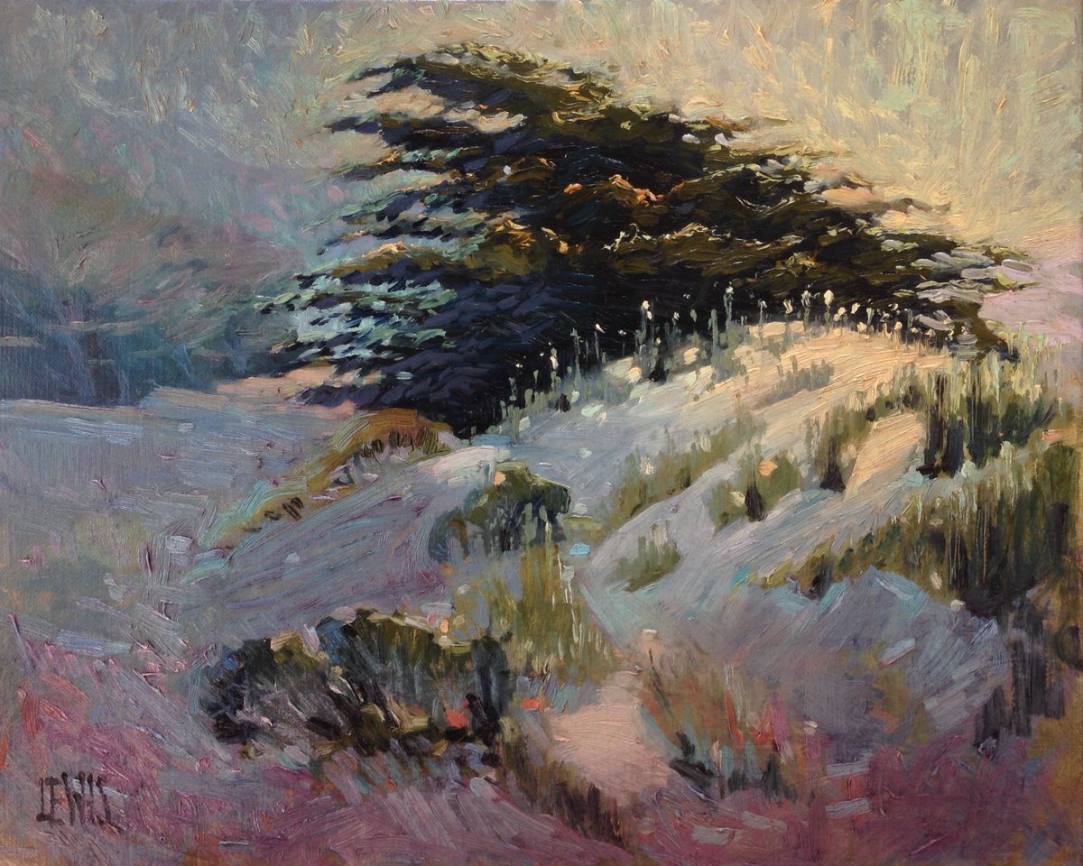'Shifting Sands...'Asilomar Dunes', 20''x16'' Oil on Canvas by Robert Lewis. Catalog #916. Available directly from the artist.. #pleinair #pleinairpainting #allaprima #interiordesign #outdoorpainting #contemporaryimpressionism bit.ly/2ok0kvF