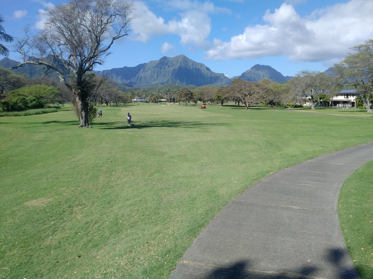 ArrowDriverGolf's tweet photo. Beautiful day @mpcchi #midpacific #golfclub today. Can't beat the weather in #Hawaii for playing #golf. #hawaiigolf #golfhawaii #golfaddict #KeepPlaying #alwaysgrinding #golflife #golfobsession #instagolf #golfstagram #HitItHard #HitItStraight #ArrowDriver #ArrowDriverGolf ⛳️ https://t.co/wN6K5pgXXK