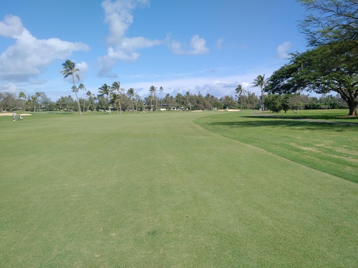 ArrowDriverGolf's tweet photo. Beautiful day @mpcchi #midpacific #golfclub today. Can't beat the weather in #Hawaii for playing #golf. #hawaiigolf #golfhawaii #golfaddict #KeepPlaying #alwaysgrinding #golflife #golfobsession #instagolf #golfstagram #HitItHard #HitItStraight #ArrowDriver #ArrowDriverGolf ⛳️ https://t.co/wN6K5pgXXK