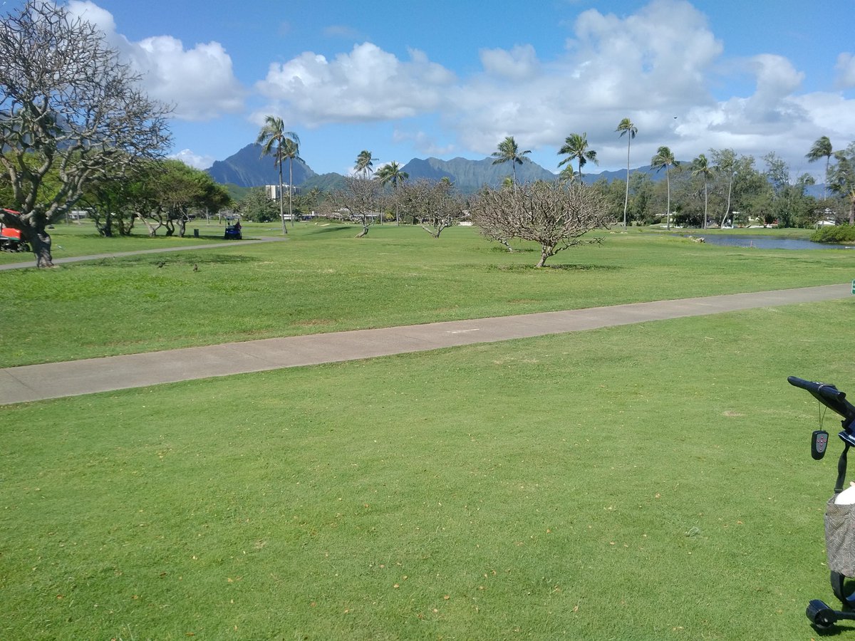 ArrowDriverGolf's tweet photo. Beautiful day @mpcchi #midpacific #golfclub today. Can't beat the weather in #Hawaii for playing #golf. #hawaiigolf #golfhawaii #golfaddict #KeepPlaying #alwaysgrinding #golflife #golfobsession #instagolf #golfstagram #HitItHard #HitItStraight #ArrowDriver #ArrowDriverGolf ⛳️ https://t.co/wN6K5pgXXK