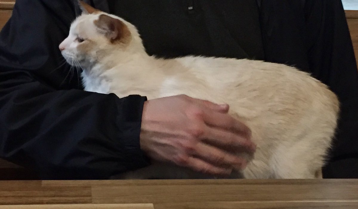 docbrookman's tweet photo. Simcoe sighting (and snuggling)! @2ndshiftbrewing https://t.co/KheMvXHNwZ