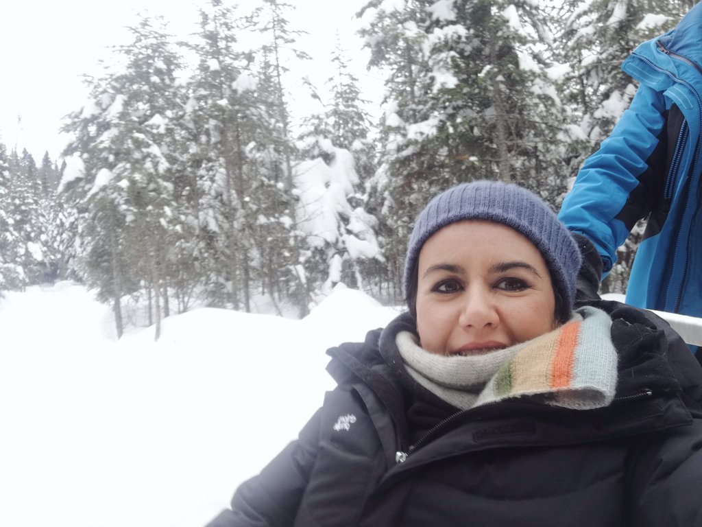 gastrotourDF's tweet photo. Una experiencia increíble en el viaje a Québec fue el #TrineodePerros un recorrido espectacular #QuebecOriginal https://t.co/c0ToYPyclN