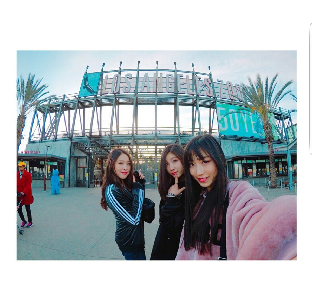thenumber244's tweet photo. Look at that!  It's 3/7 of Cheeky Parade at the LA Zoo!!!
https://t.co/HXXElFGhCJ https://t.co/a8Oecu8NgP