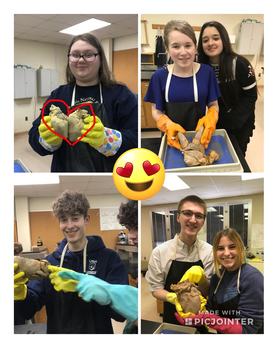 MancusoAPBio's tweet photo. So much ❤️ for APBio!!!! #pighearts #APBioProbz https://t.co/tQcLIDYN1a