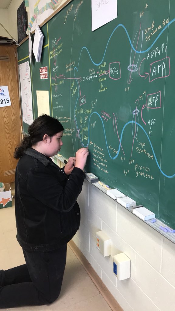 MancusoAPBio's tweet photo. Learn by practicing and creating. Make the connections and work on study skills everyday. #APBioProbz https://t.co/gcWRn8p8ZD