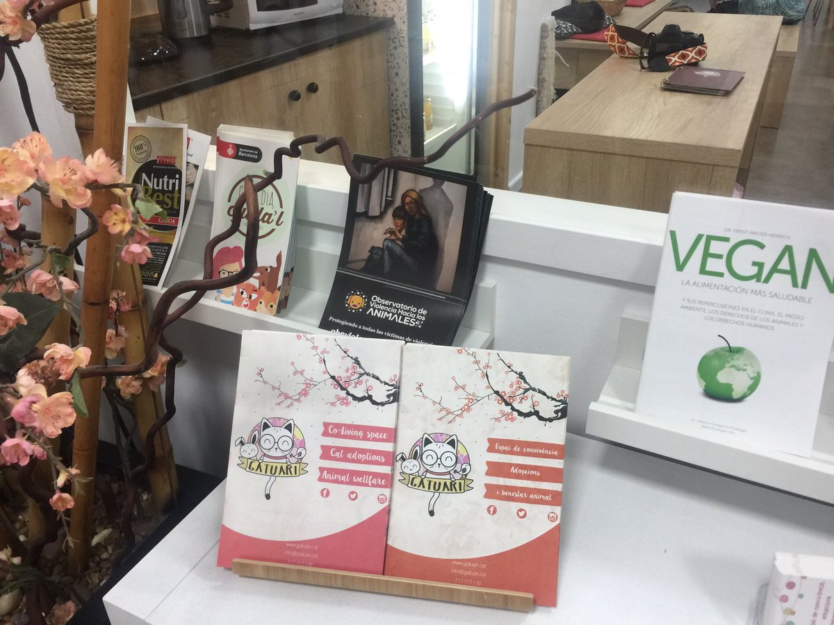 VioPet112's tweet photo. 🐾🐱🙎🏻Ayer tuvimos una productiva reunión en @elGatuari (entidad adherida a VioPet) junto con @ElHogarAnimalS y @RASErescate  para trabajar en varios proyectos conjuntos y establecer sinergias.

Muy pronto podremos explicaros más novedades! https://t.co/Q4RFEVm3sT