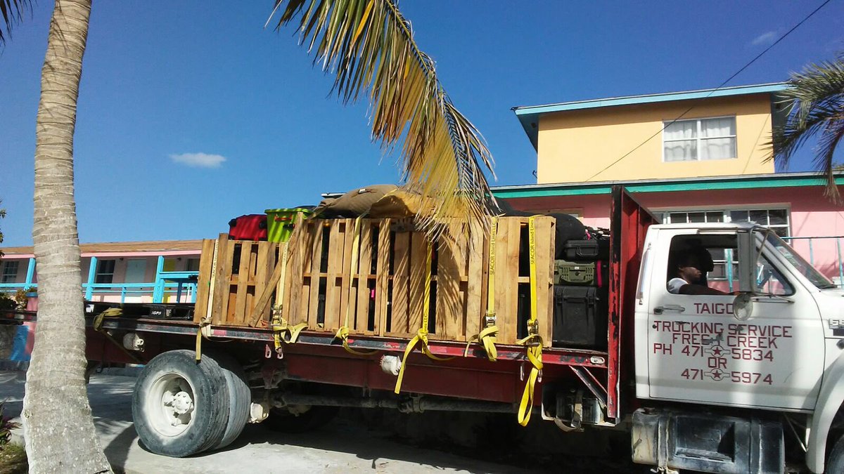 shipcf's tweet image. 