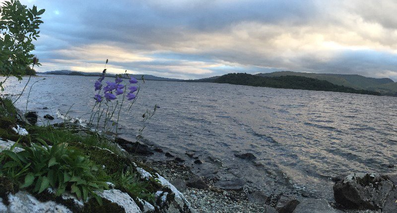onsitefishing's tweet photo. New Onsite Fishing location - (Cashel (CITF) - Loch Lomond) has been published on our website - https://t.co/Gv6ciKh4is #Onsitefishing, #fishingfun, #fishing, #camping https://t.co/8UME5yCisf