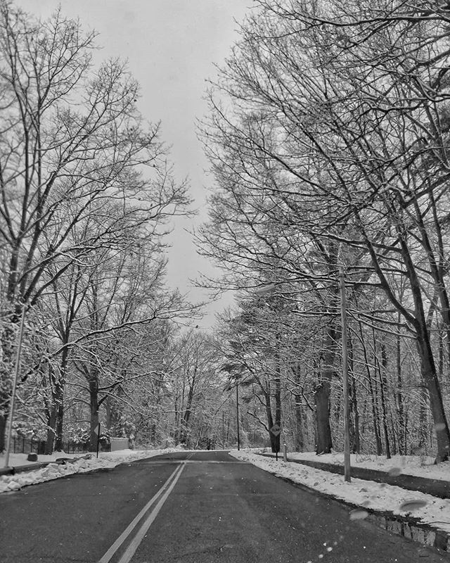 mrblaisart's tweet photo. 1/2 #snowday #Earlydismissal = #pituresque #drive #blackandwhite #bnwsociety https://t.co/rIAASqGw4W