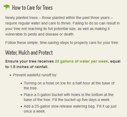 IntTreeExperts's tweet image. #ArboristServices #TreePestControl #TreePruning