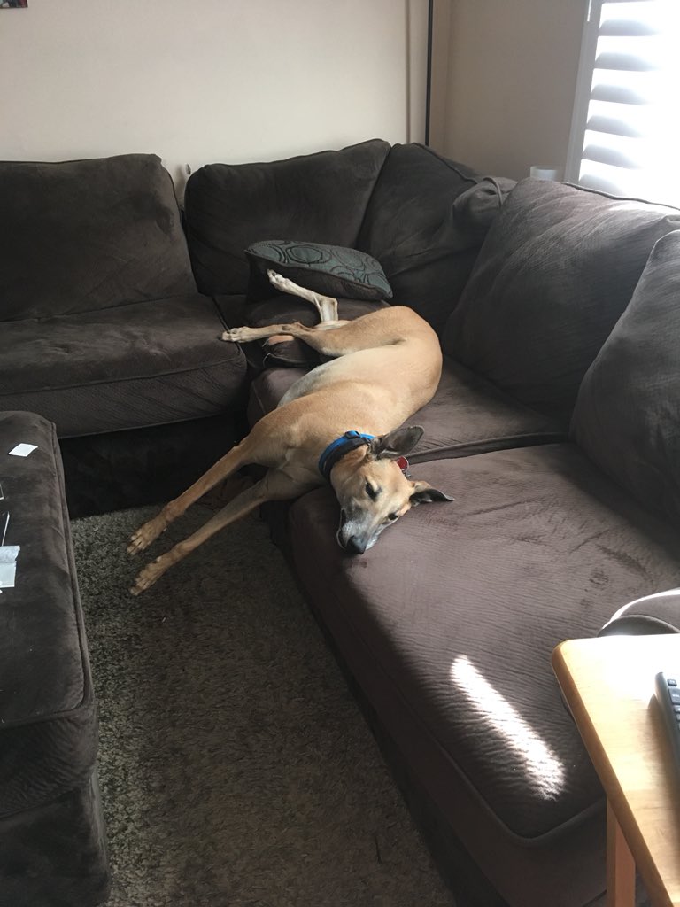 jeidsmoe's tweet photo. #morfurniture https://t.co/bzn0yUL7p9