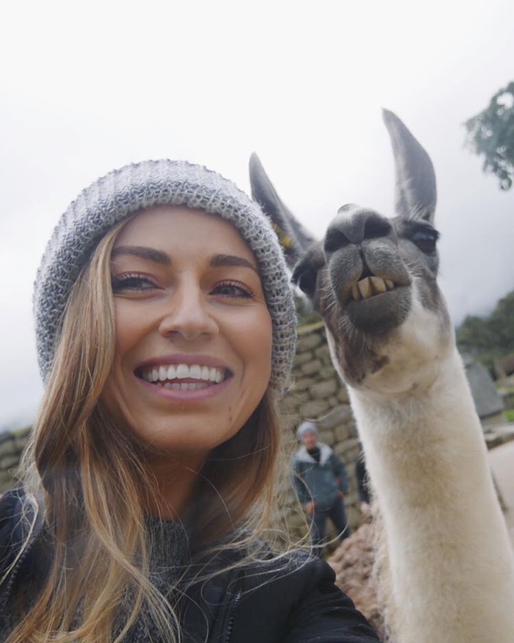 thetraveltwo's tweet photo. Alpaca selfie in Peru 😂 https://t.co/vyGEXpDtZx