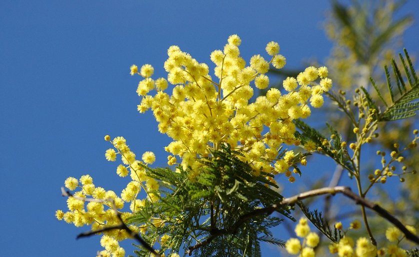 #8marzo a Como 🧕👩‍✈️👩‍💼 Buona #festadelladonna a tutte voi! 💐👱‍♀️👩‍⚖️  E come sempre ecco gli eventi di oggi su #visitcomo 👉bit.ly/2toRhj3