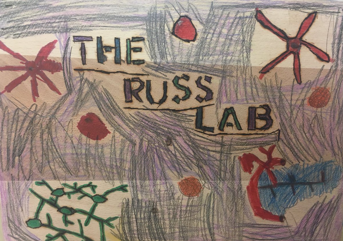 TheRussLab's tweet photo. Russ Lab art collection is expanding #pancreas #scienceart https://t.co/wU8SUk5nSU