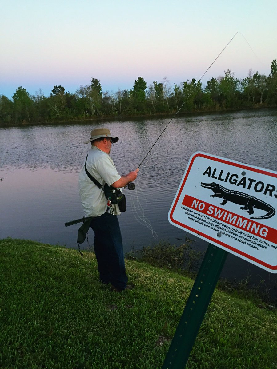 NudgeOutdoors's tweet photo. True #fishermen won't let anything stand in the way of their next #catch , even #alligators. #FlyFishing  is nature's relaxer. What did you do today?! https://t.co/0isajnwl2P