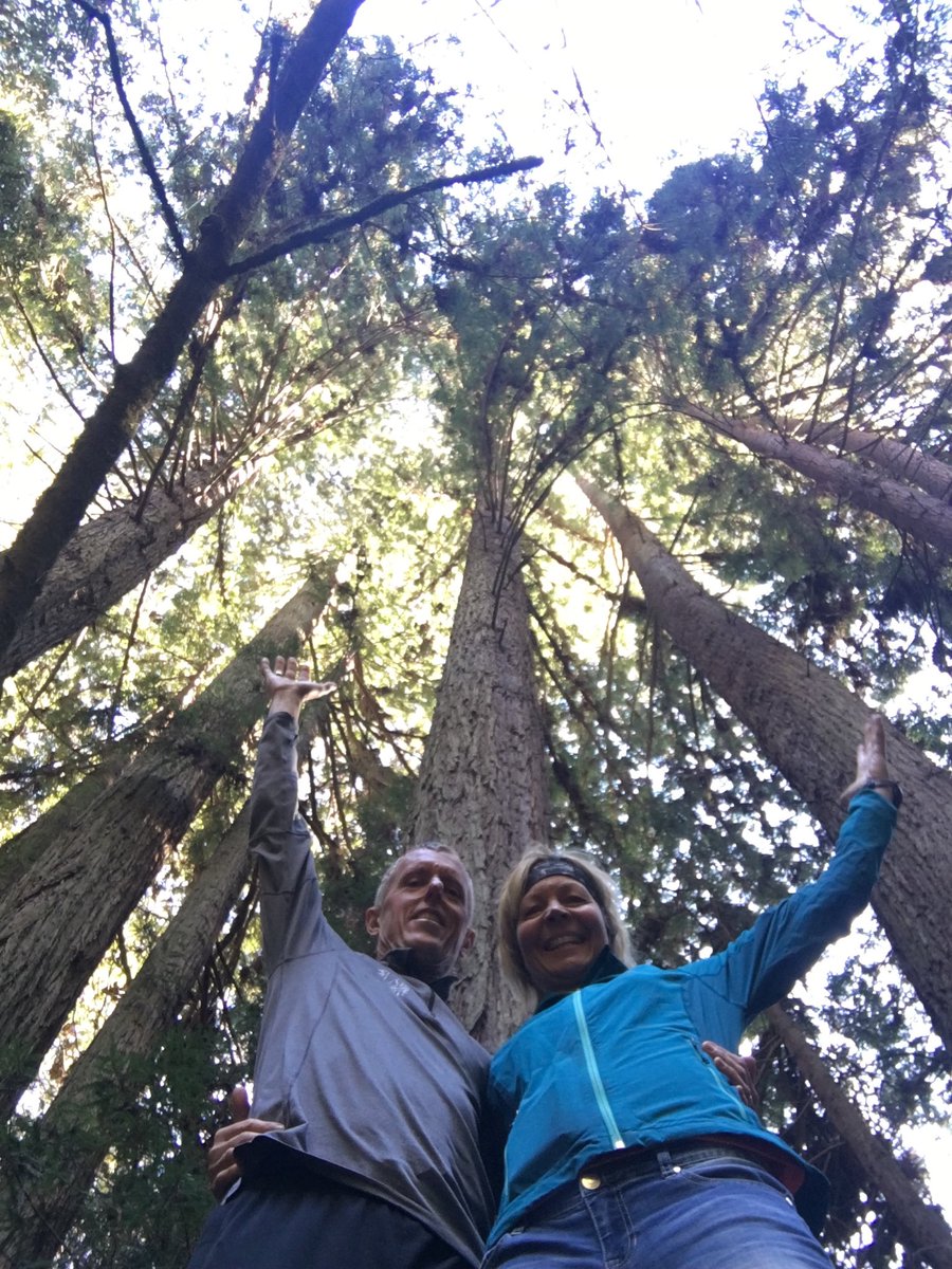 Beautiful hike at Nisene Marks State Park.  Redwood trees are amazing! #Californiahiking