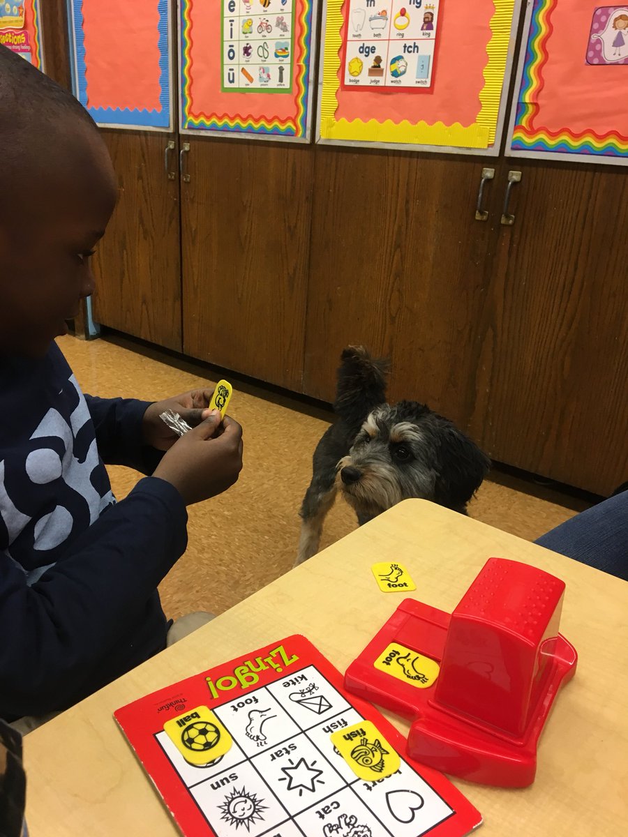 My boy Hakeem found me in the flash cards during speech!! My #ps145 siblings sure are smart!!! <a href="/NYCSchools/">NYC Public Schools</a> <a href="/FollowCSA/">CSA</a> <a href="/UFT/">UFT</a> #comfortdogdaynyc <a href="/NycDistrict3/">@NycDistrict3</a>