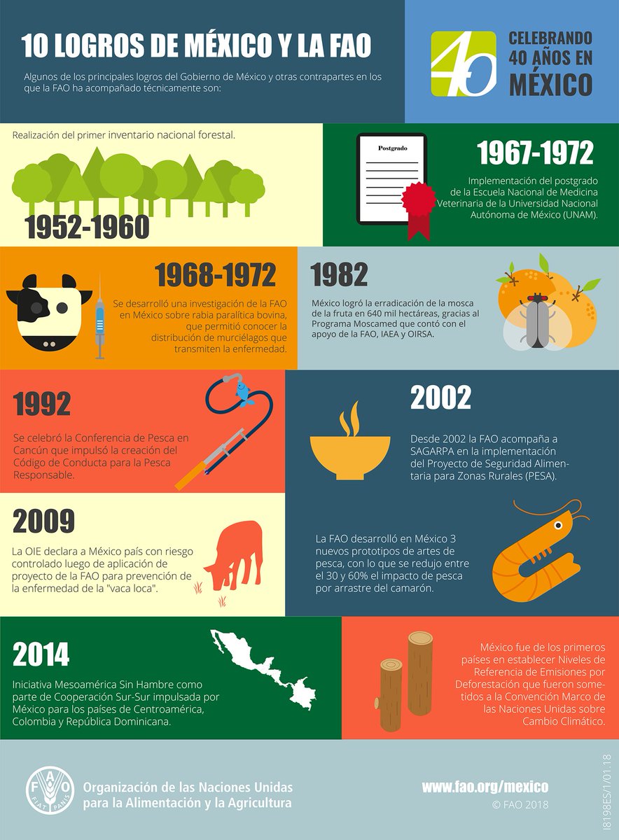 FAOMexico's tweet photo. Conoce los principales logros de México y la FAO #40AñosUNFAOmx #40YearsUNFAO #ConferenciaFAOAméricas #MéxicoEnLARC35 https://t.co/YdY8Irz21m https://t.co/GjaPda53TT
