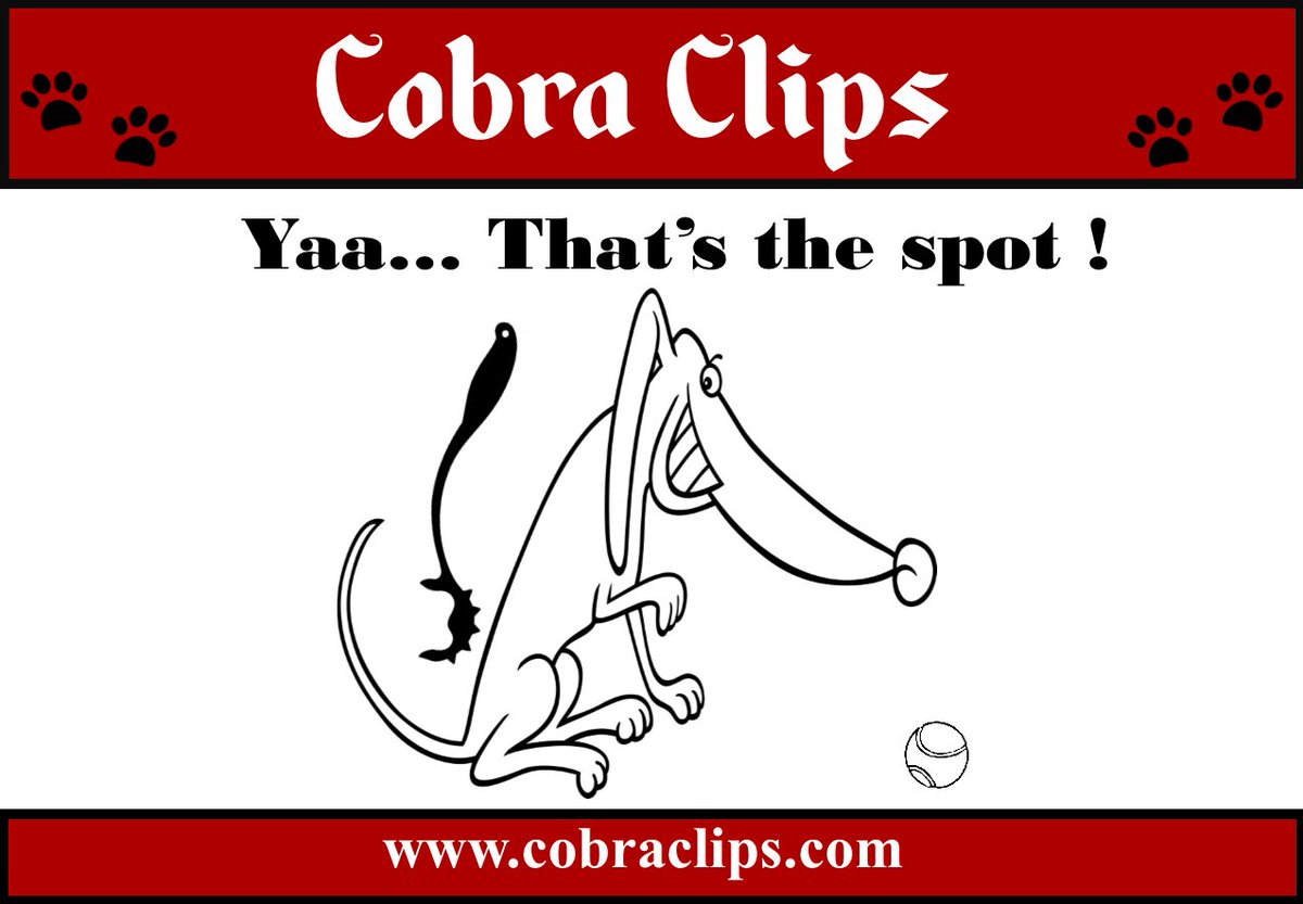 BTICobraClips's tweet photo. Cobra Clips are now available, and ONLY available here https://t.co/fuT6fFn6dl All #dogs deserve #Unconditionalaffection #grooming #Dogs #toys #petcare https://t.co/9mPDahergC