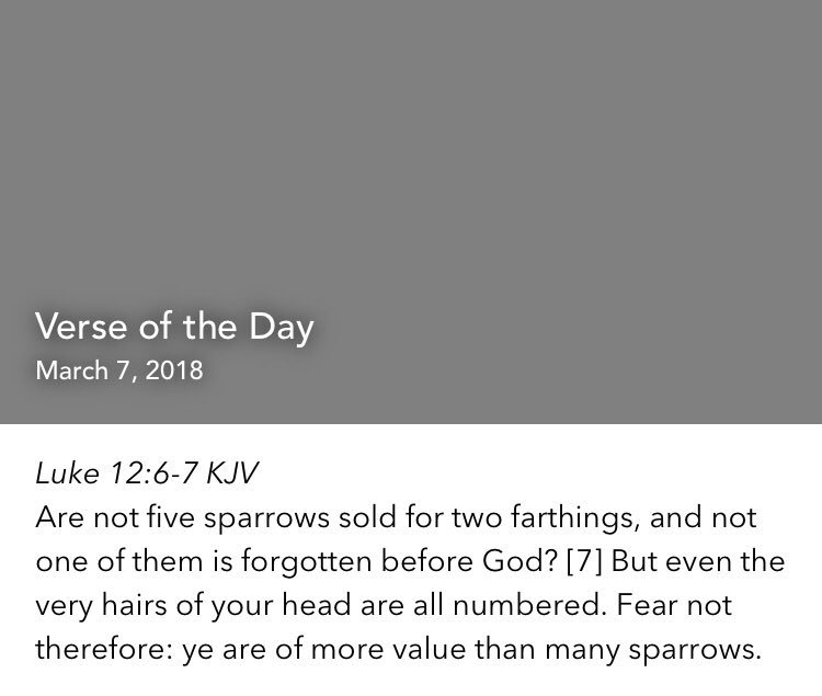 mswilsonsmind's tweet photo. Luke 12:6-7 KJV
Are not five sparrows sold for two farthings, and not one of them is forg... https://t.co/UbwyXk0qvY https://t.co/ZKDpCYPuXZ