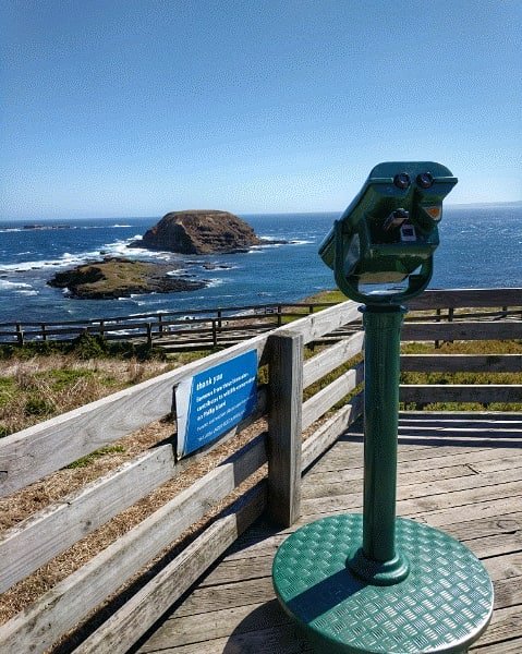 Jordan_Patu's tweet photo. Views from the scope. π―π·
#PhillipIsland #TheNobbies https://t.co/VYcYra3woh https://t.co/bgVniYwcAg