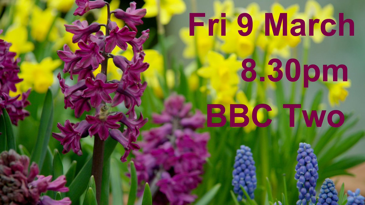 GWandShows's tweet photo. Only one more sleep until #GardenersWorld is back on air! Spread the word 😎🌷🌻🐾 https://t.co/X0hbfLJaQs