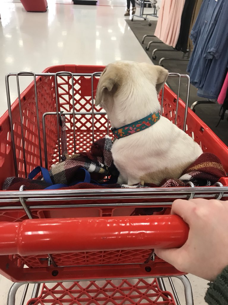 laurenmrandolph's tweet photo. His first target trip was a success https://t.co/H1URUL1AiR