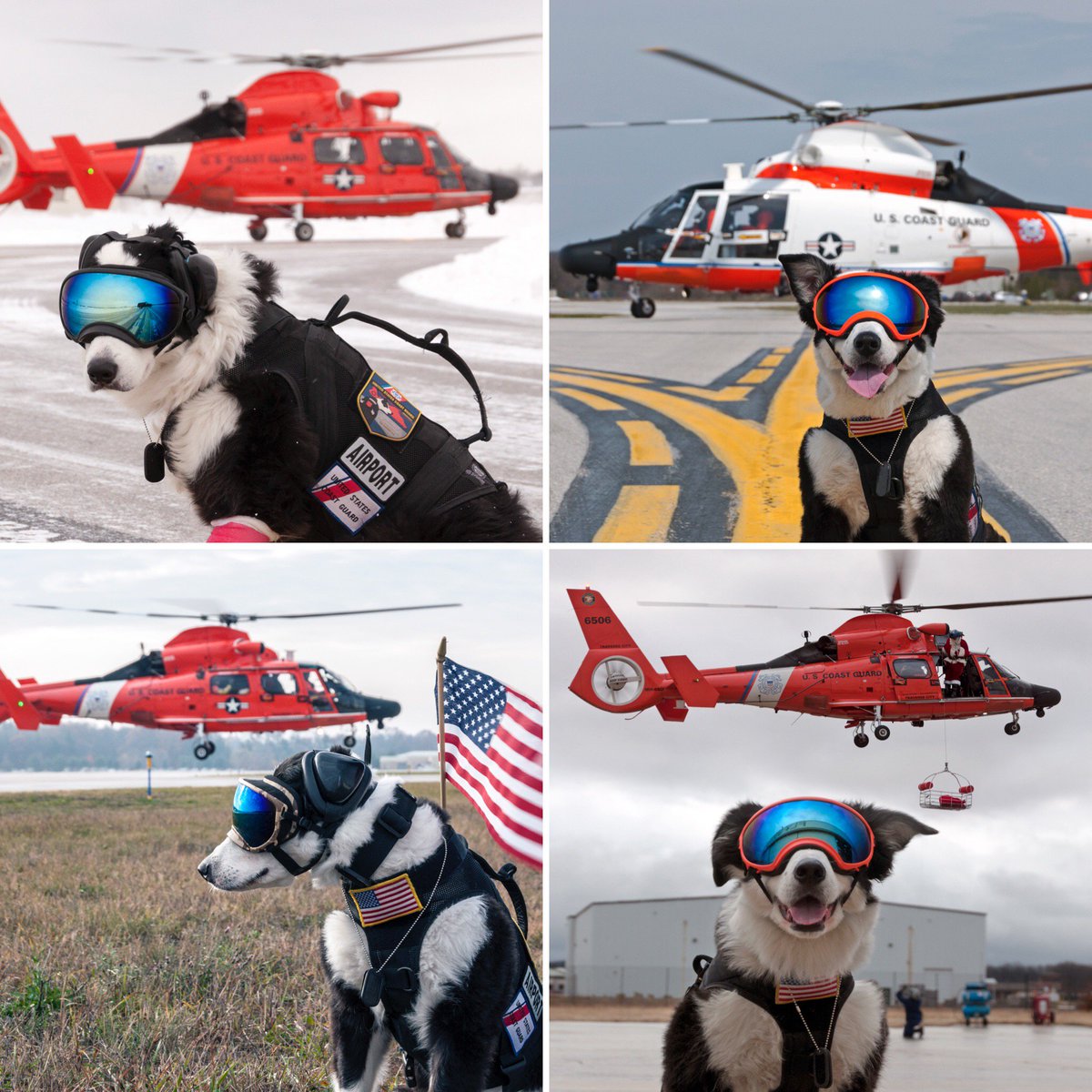 FlightChops's tweet photo. Friday's video is dear to my heart; we filmed with arguably the coolest dog in aviation. 
He recently passed away after losing his battle with cancer.
Vote for the thumb:

"Snow", "Flag hover", "Taxiway" and "Basket smile"

Thanks https://t.co/J4sEbp3fBJ
