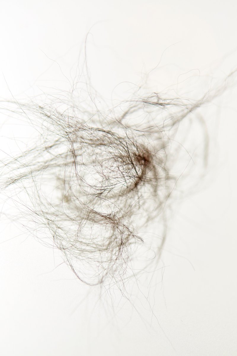 Maku_Lopez's tweet photo. Fluff Series 
#art #photography 
#fluff #mundane #daylife #observation https://t.co/QodKWjOHls