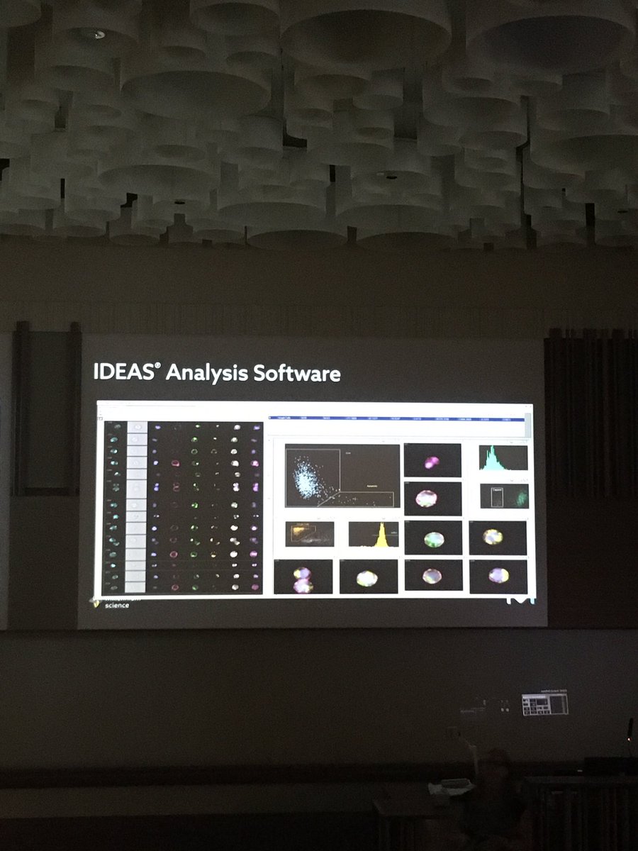 drlampy's tweet image. ImageStream seems like a really cool application. #imagestream #amnis