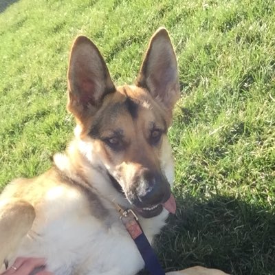 CoolCatLexus's tweet photo. #NewProfilePic https://t.co/httsLiQutQ