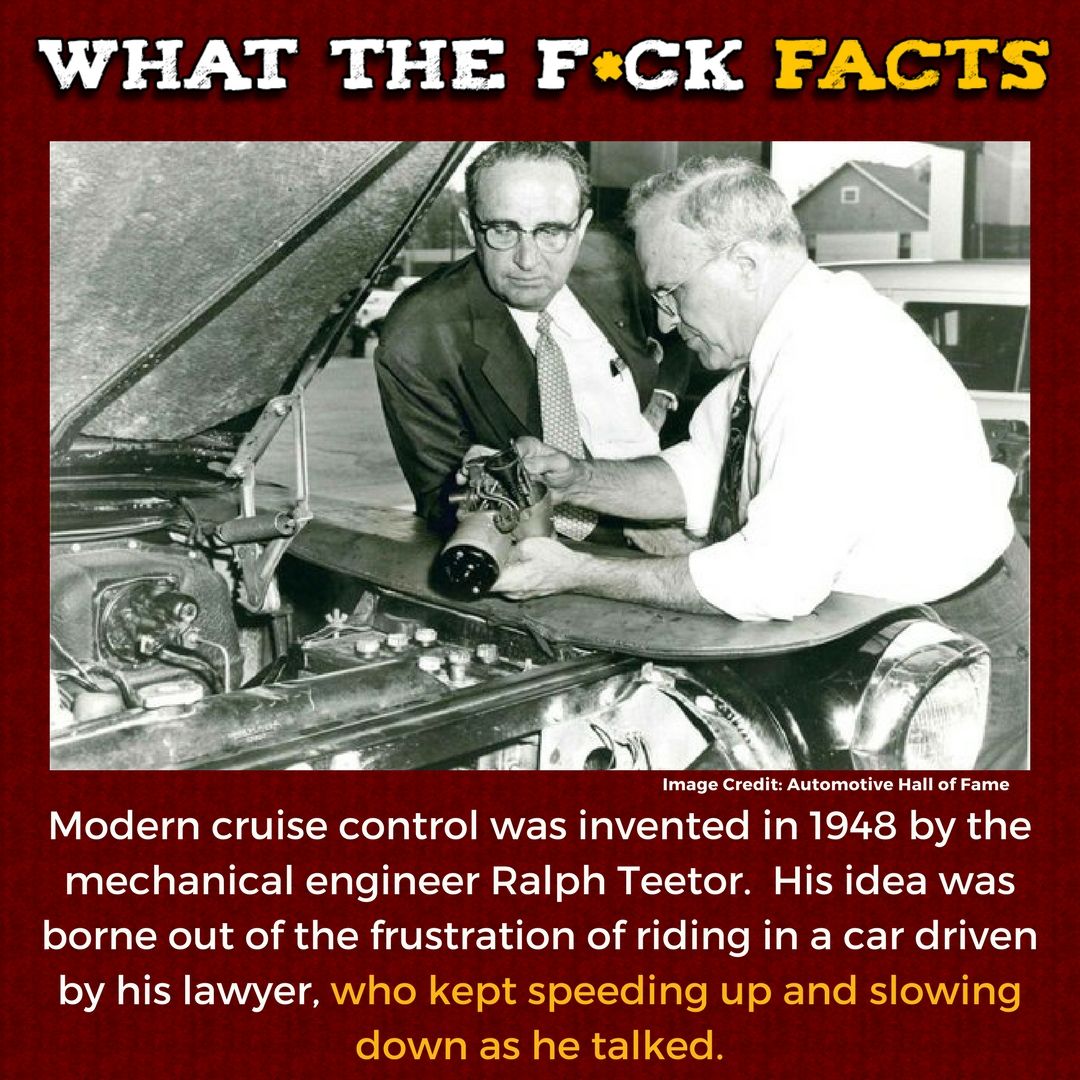 What The F*** Facts (@whattheffacts) on Twitter photo 