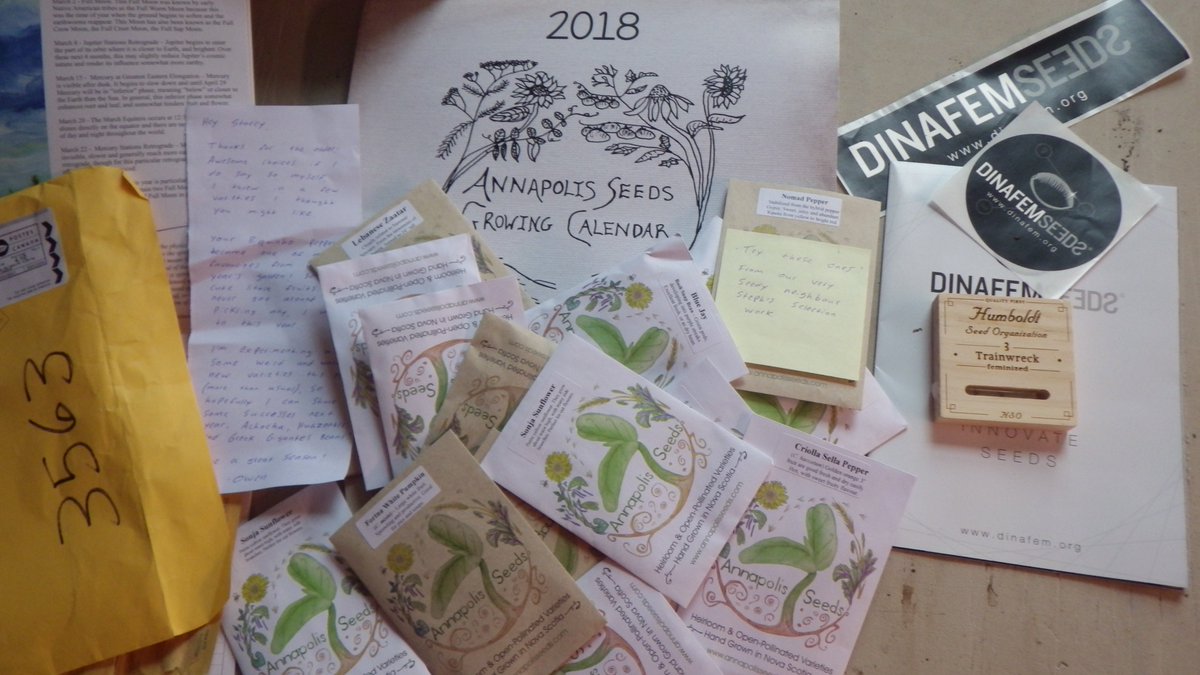 edible_antiques's tweet photo. Super Seedy trips to the post office make me really happy! @annapolisseed @humboldtseeds @DinafemEn @Dinafem @DinafemFr #seeds #seedster #seedgeek #trainwreck #humboldt #gardening #sativa #heirloom #annapolis #pumpkin #beans #springtime #seedcrops #seedlove #pouroneformyhomies <3 https://t.co/OGgFgevqS7