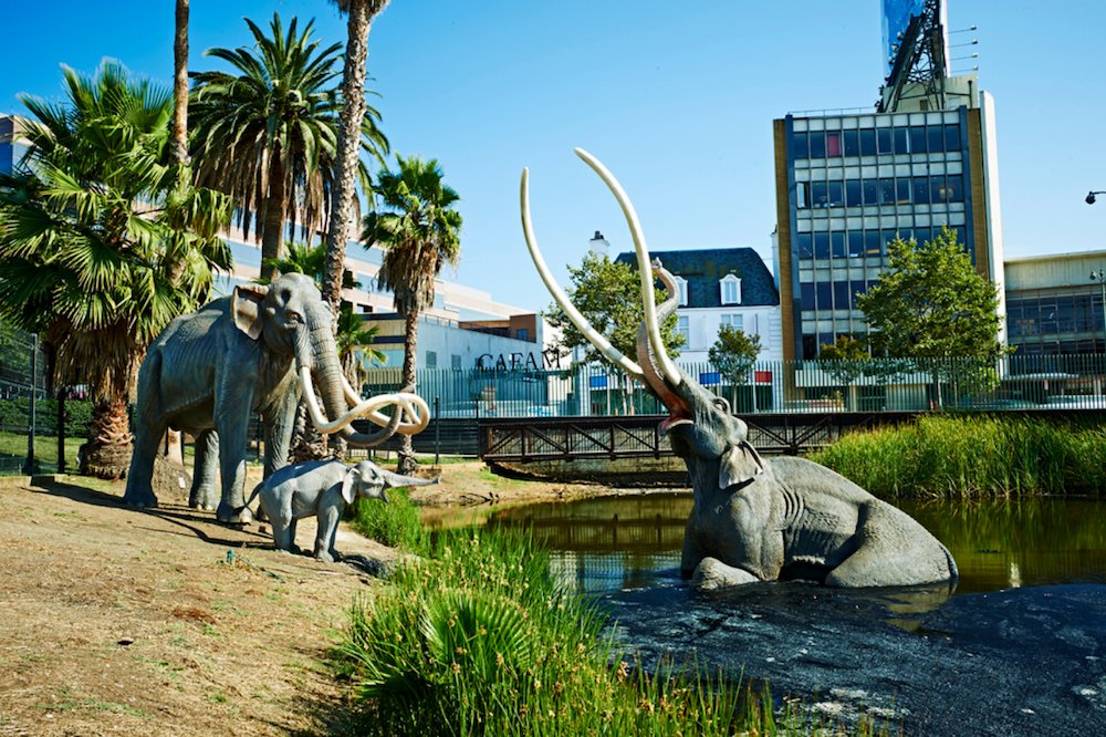 mental_floss's tweet photo. 10 Fascinating Facts About the La Brea Tar Pits — https://t.co/FydWJ92ab4 https://t.co/TiD12xjxkv