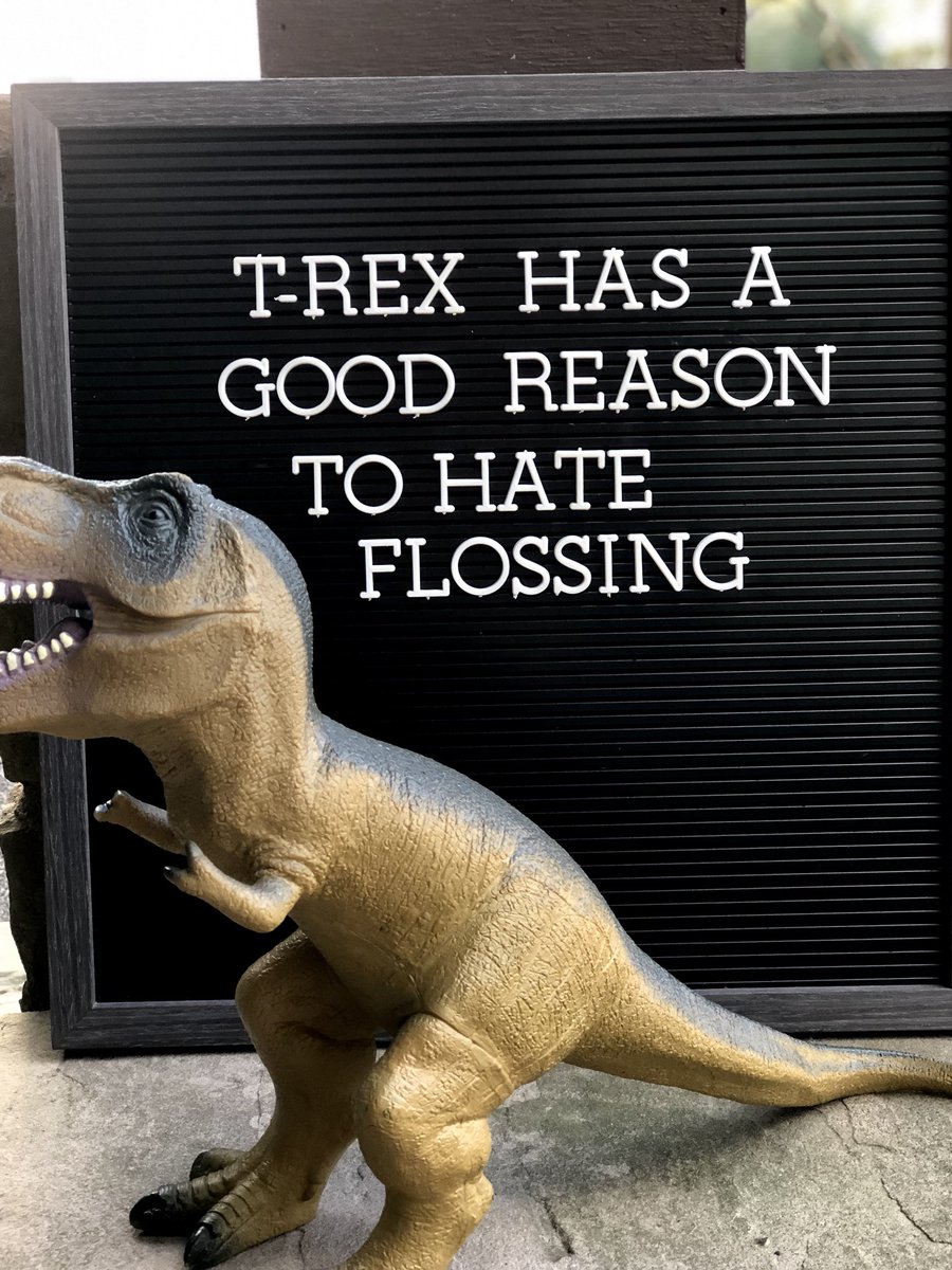 I bet this would be pretty entertaining to watch 😏😆