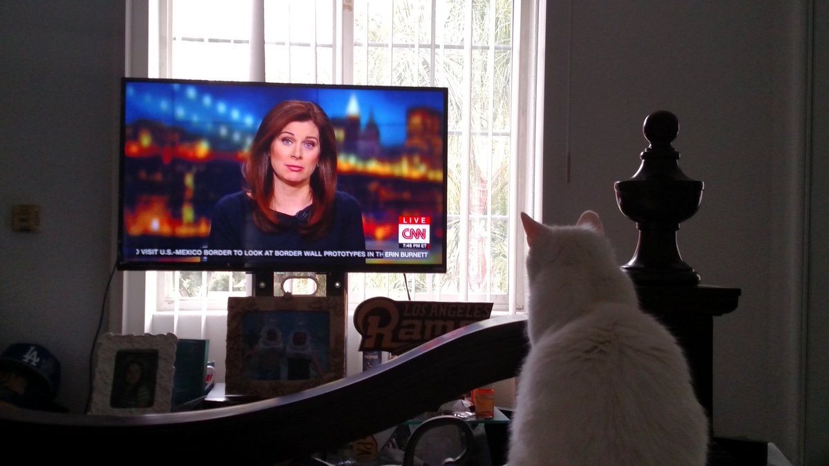 bioram43's tweet image. My Family and our Cat Milkshake Loves to watch you on CNN
Keep up the great work  
#CNNOUTFRONT