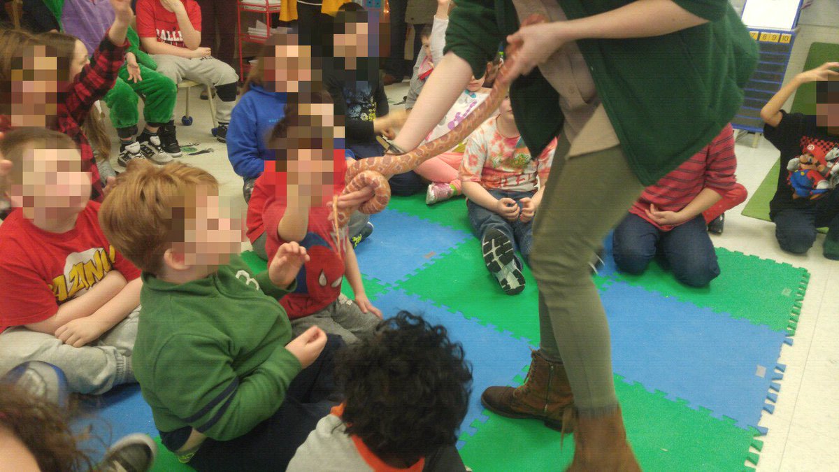 Stepskinders tweet media