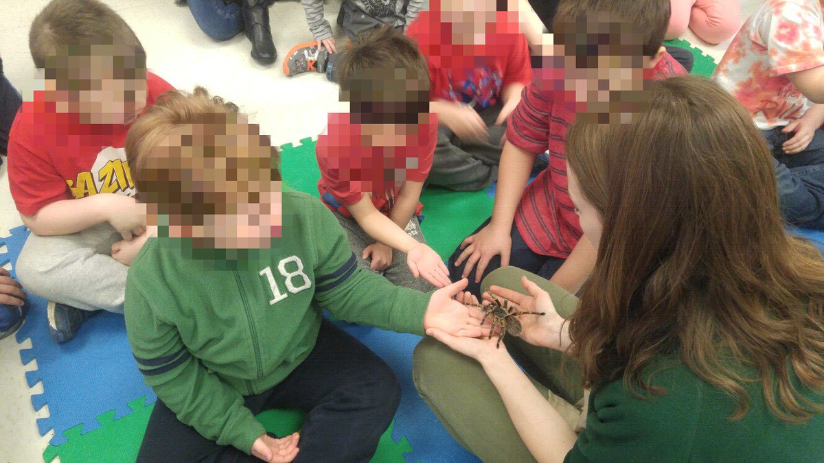 Stepskinders tweet media