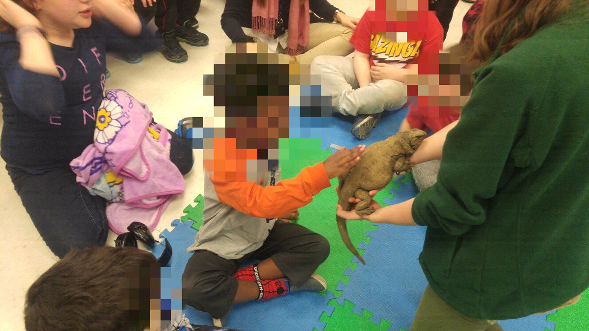 Stepskinders tweet media