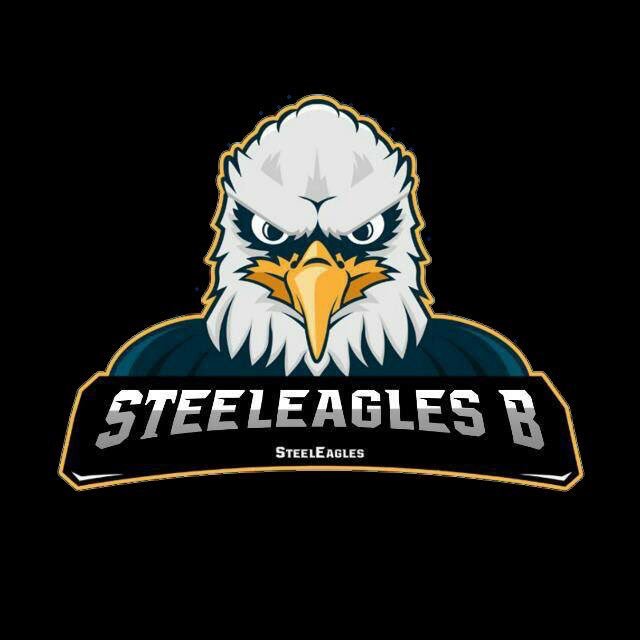 Presentamos al equipo 12 en inscribirse a la liga @SteelEaglesB_TM bienvenidos y suerte. MD para los detalles. [12/16]