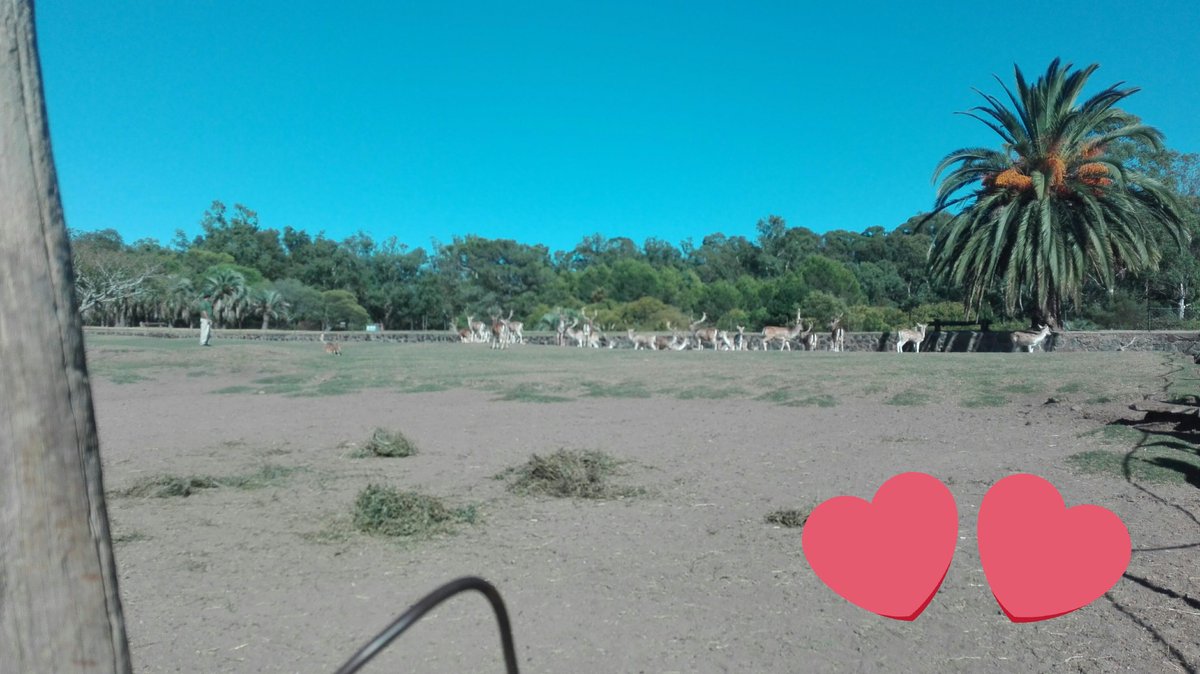 verosabe15's tweet photo. Parque Lecocq https://t.co/byrTUyA2T4