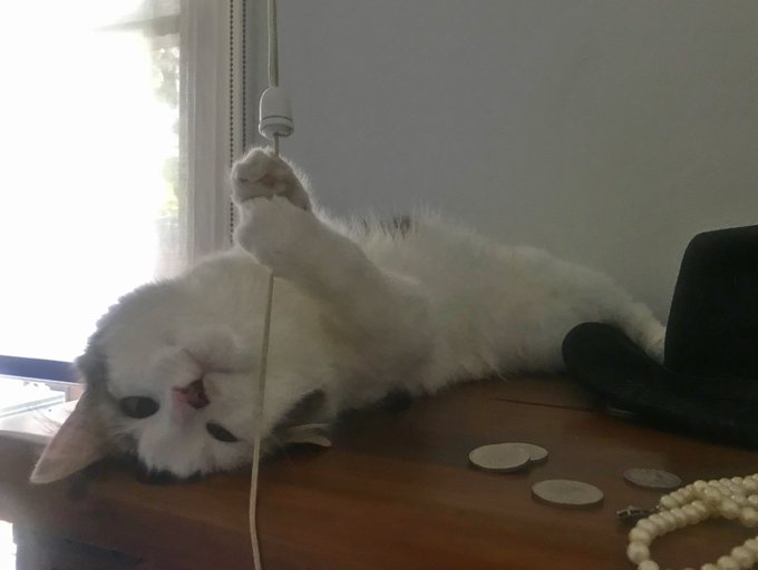 Tomorrow marks the half way point between when I last saw Foofly Doo (mid Jan) and when I&rsquo;ll see her<a href="/tag/londonpride"class="tags"><span>#londonpride</span></a>