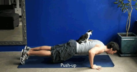 FitnessMagazine's tweet photo. 15 Reasons It's Better to Work Out at Home https://t.co/BxcVYkHNoa https://t.co/fwzlkS8fla