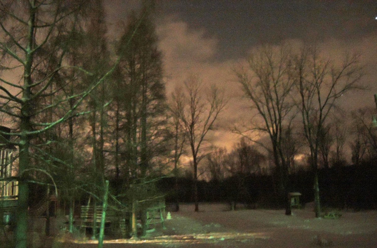 NCamdenWriter's tweet photo. On the Owl Prowl @RiveredgeNC, Saukville, WI. https://t.co/pUWjZZsA5G