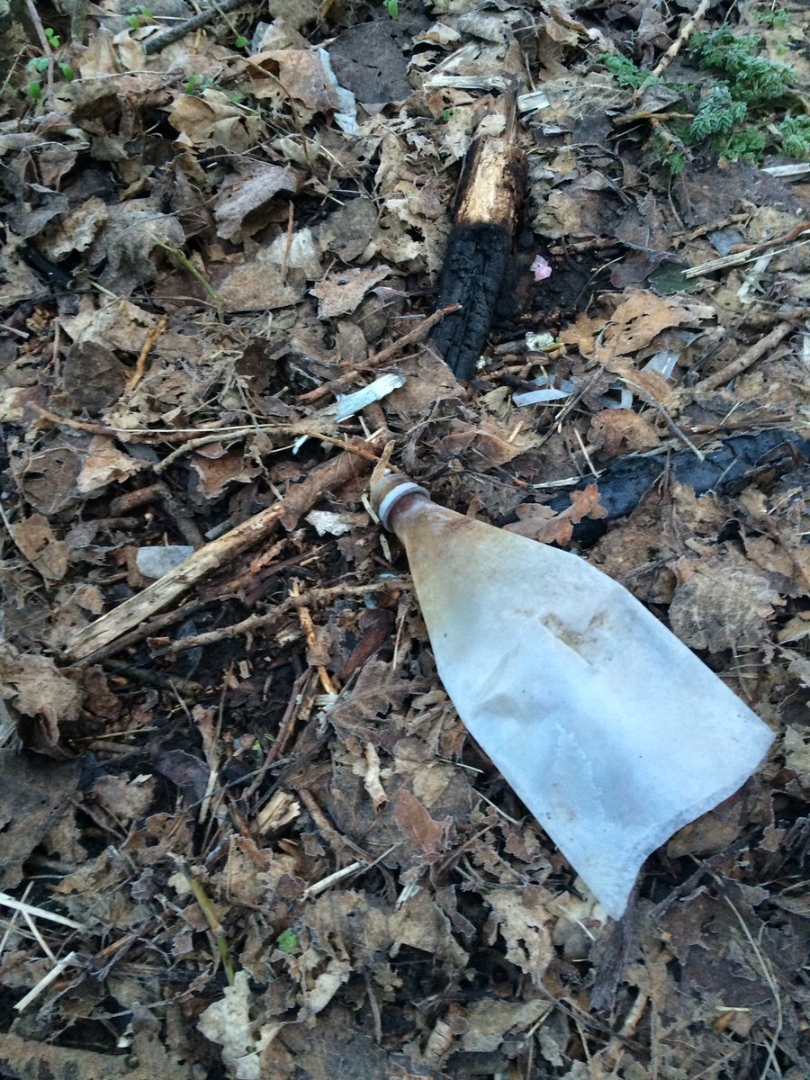 sooki1968's tweet photo. @NTCouncilTeam This is just sum of the mess that is accumulating on the valley at bottom of Firtrees avenue in HOWDON.Utter disgrace! Could u please arrange for sumone to clean this up as its a safety risk to children &amp; our pets.Thankyou. https://t.co/LBk7NVntqv