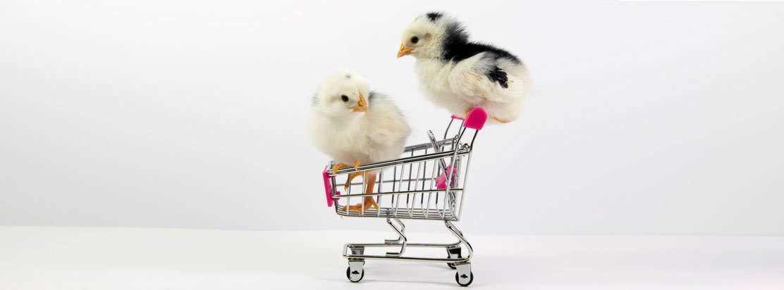 HBRFrance's tweet image. Pourquoi l’intelligence artificielle révolutionne l’expérience utilisateur. Par @nicogla et @FabriceMarque owl.li/dctI30iLorv #innovation #digital #AI #UX