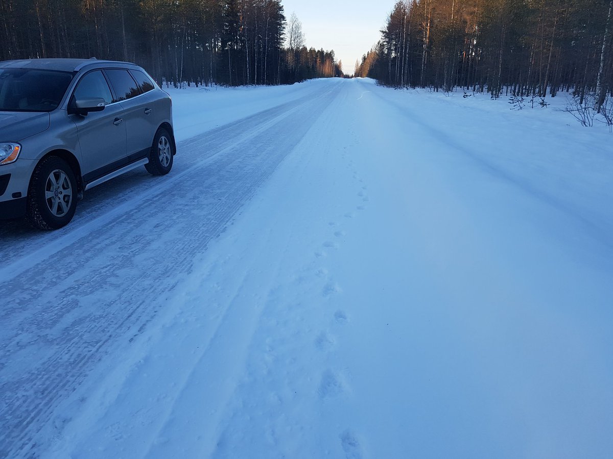 JukkaBisi's tweet photo. Tämän aamun työmatkahavainto. Yölliset ison ahman jäljet. Minä ajoin Puolangalle, #ahma tuli sieltä. #iIves ja ahma ovat täälläpäin arkipäivää ja osa kylien elämää. Monimuotoinen #luonto on läsnä enemmän kuin lapsuudessani. Puuttuu vain työtä ja asukkaita. #maaseutu https://t.co/IALG4BwAK2