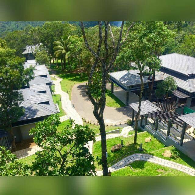 samalsankar1's tweet photo. #themountaincourtyard #mycourtyard #periyartigerreserve       “This is not a place to see,It’s a place to feel “ https://t.co/X3tD11PdDB