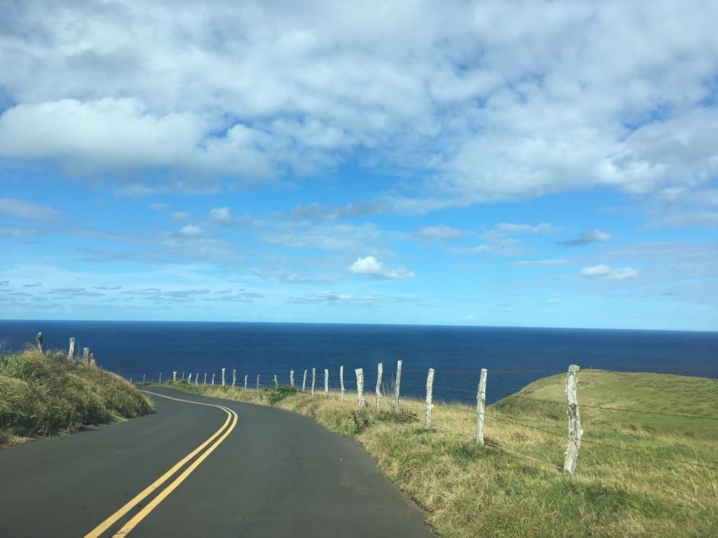 shoany40's tweet photo. Aloha https://t.co/Rah3hh5K73 https://t.co/IxrIRXSMVf
